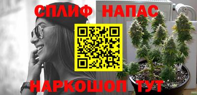 гашиш Кимры