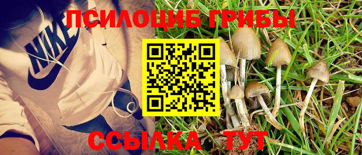 Псилоцибиновые грибы прущие грибы  Галлюциногенные грибы MAGIC MUSHROOMS  Киреевск  Вход с VPN 