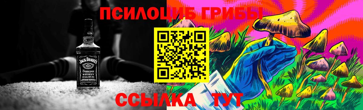 Галлюциногенные грибы мицелий Киреевск